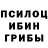 Псилоцибиновые грибы Cubensis VALERA Suhodolskij