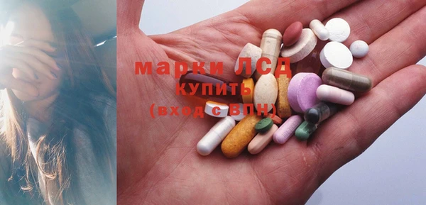 гидропоника Алзамай
