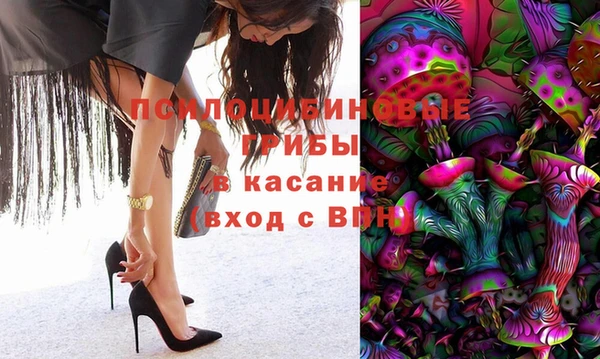 ПСИЛОЦИБИНОВЫЕ ГРИБЫ Абинск